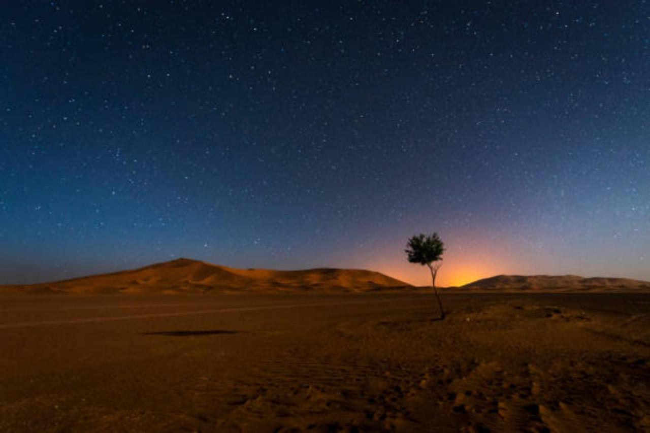 Desert Paradise Luxury Camp Мерцуга Екстериор снимка