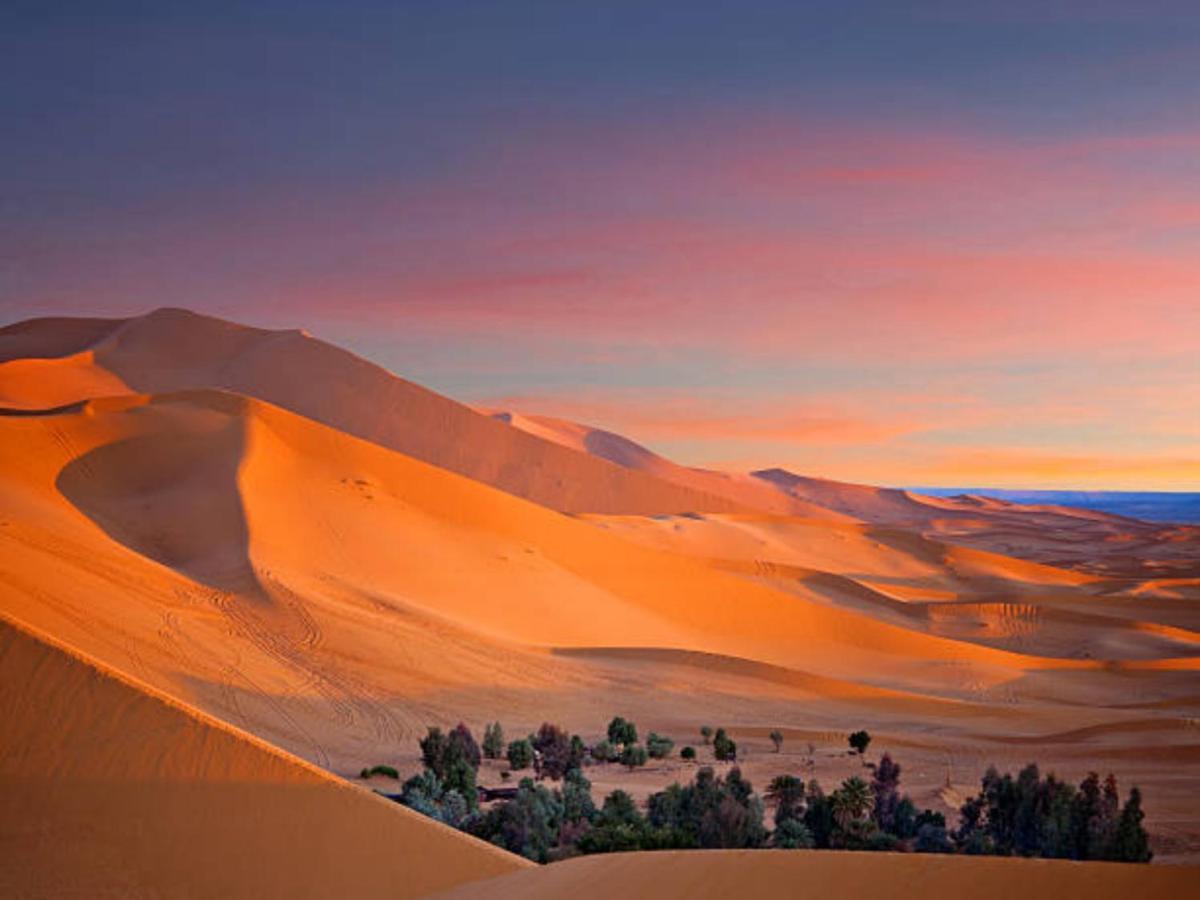 Desert Paradise Luxury Camp Мерцуга Екстериор снимка