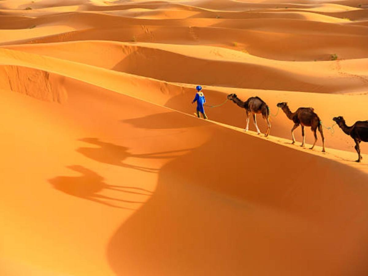 Desert Paradise Luxury Camp Мерцуга Екстериор снимка