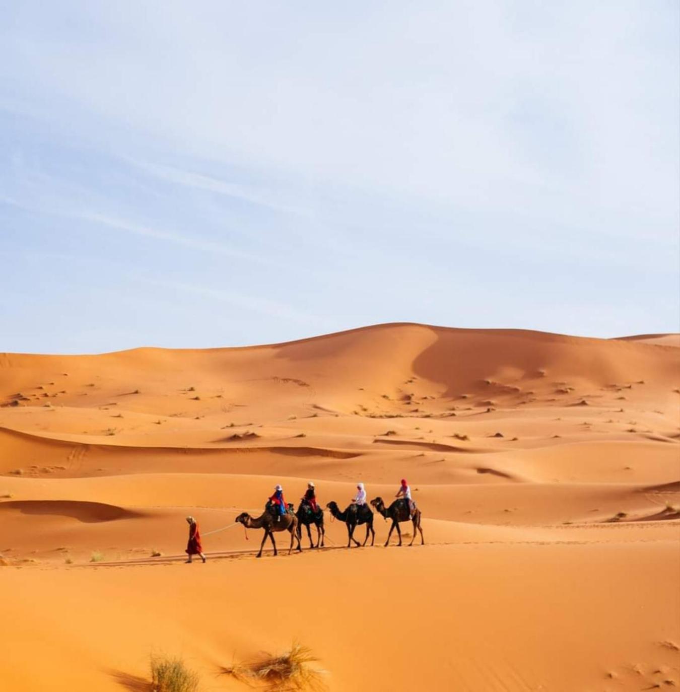 Desert Paradise Luxury Camp Мерцуга Екстериор снимка